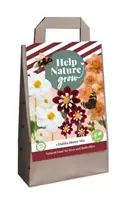 Jub 1 Tas 5 Dahlia Honey Mix - Help Nature Grow