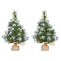 Mica Decorations 2x Mini kunst kerstboom met 10 LED lampjes en sneeuw 45 cm - Mini kerstboompjes