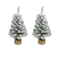 Merkloos 2x stuks kunstboom/kunst kerstboom met sneeuw 75 cm - Kunst kerstboompjes/kunstboompjes - Kerstversiering