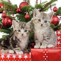 Ambiente 80x Kerst thema servetten met 2 kittens katten/poezen 33 x 33 cm -