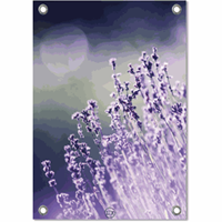 Label2X Tuinposter lavender