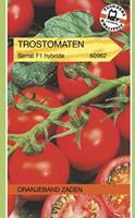 Tuinplant.nl Trostomaat