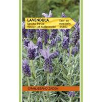Tuinplant.nl Lavendel