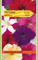 Tuinplant.nl Petunia