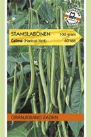 Tuinplant.nl Stamslaboon