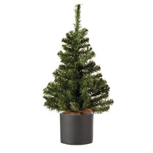 Decoris Volle mini kerstboom groen in jute zak 60 cm - Inclusief donkergrijze plantenpot 12,5 x 13,5 cm - Kunstboompjes