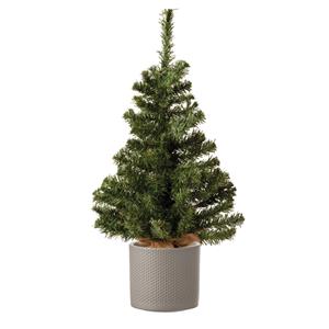 Decoris Volle mini kerstboom groen in jute zak 60 cm - Inclusief taupe plantenpot 12,5 x 13,5 cm - Kunstboompjes