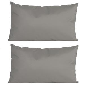 Anna's Collection 2x stuks bank/Sier kussens voor binnen en buiten in de kleur grijs 30 x 50 cm - Tuin/huis kussens