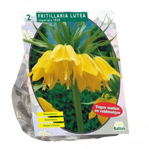 Baltus Bloembollen Baltus Fritillaria Imperialis Lutea bloembollen per 2 stuks