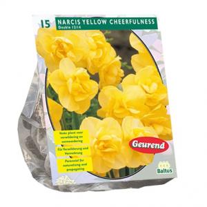 Baltus Bloembollen Baltus Narcis Yellow Cheerfulness narcissen bloembollen per 15 stuks