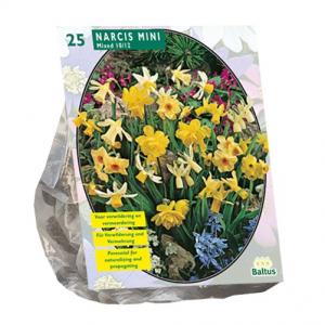 Baltus Bloembollen Baltus Narcis Mini Mix narcissen bloembollen per 25 stuks