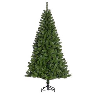 Black Box Trees Künstlicher Weihnachtsbaum 'Langton' grün 260 cm
