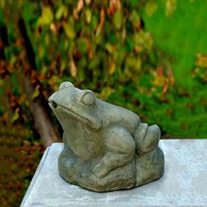 Gartentraum.de Wasserspeiende Froschfigur aus Steinguss für den Garten - Giaco / Arkadia