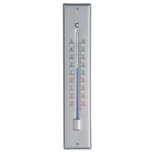 Express Thermometer aluminium/zilver