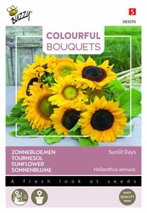 Buzzy Colourful Bouquets Sunlit Days - Bloemzaden - Zonnebloem (Helianthus)
