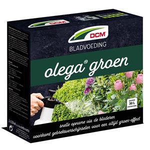 DCM Bladvoeding olega groen 2x0,25 l