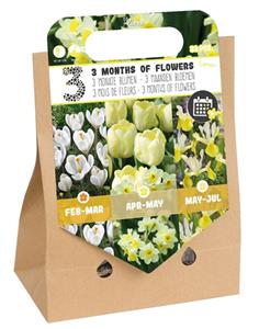 Florex Bloembollenpakket gemengd 3 mdn bloemen- Limoen - Bloembollen - Limoen - 33 stuks