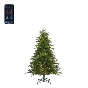 Black Box Trees Slimme Verlichting Kerstboom - 107x107x155 cm - Groen