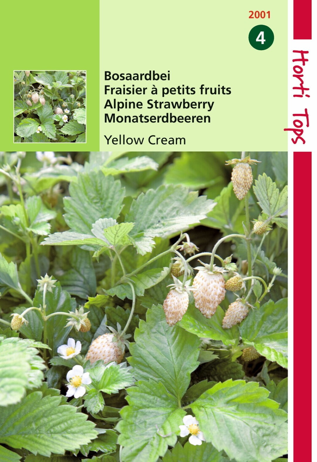Hortitops Aardbeien Yellow Cream - 