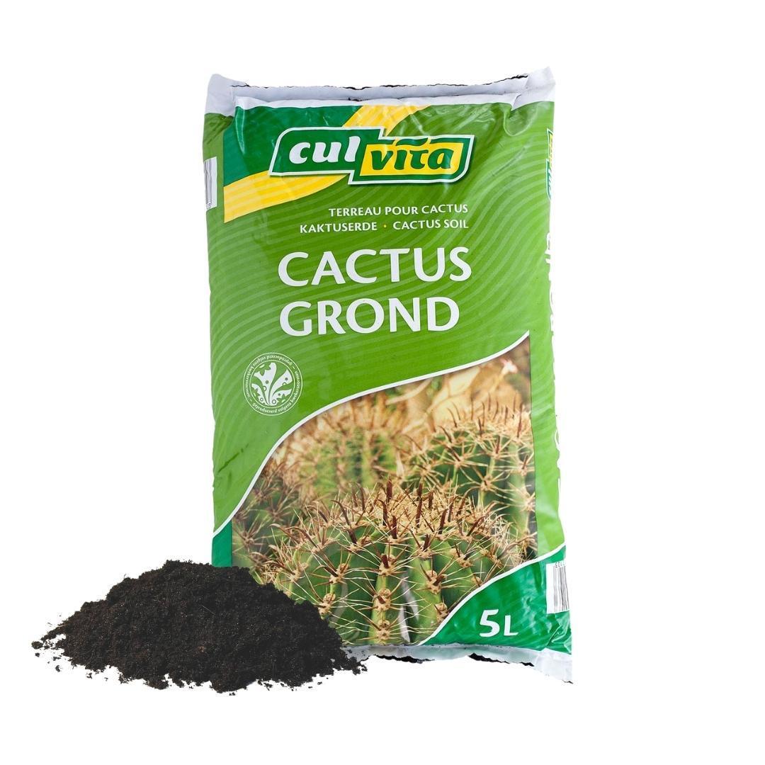 Everspring Cactusgrond 5 liter - potgrond geschikt voor cactus en vetplanten