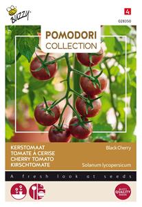 Buzzy Pomodori Black Cherry - 