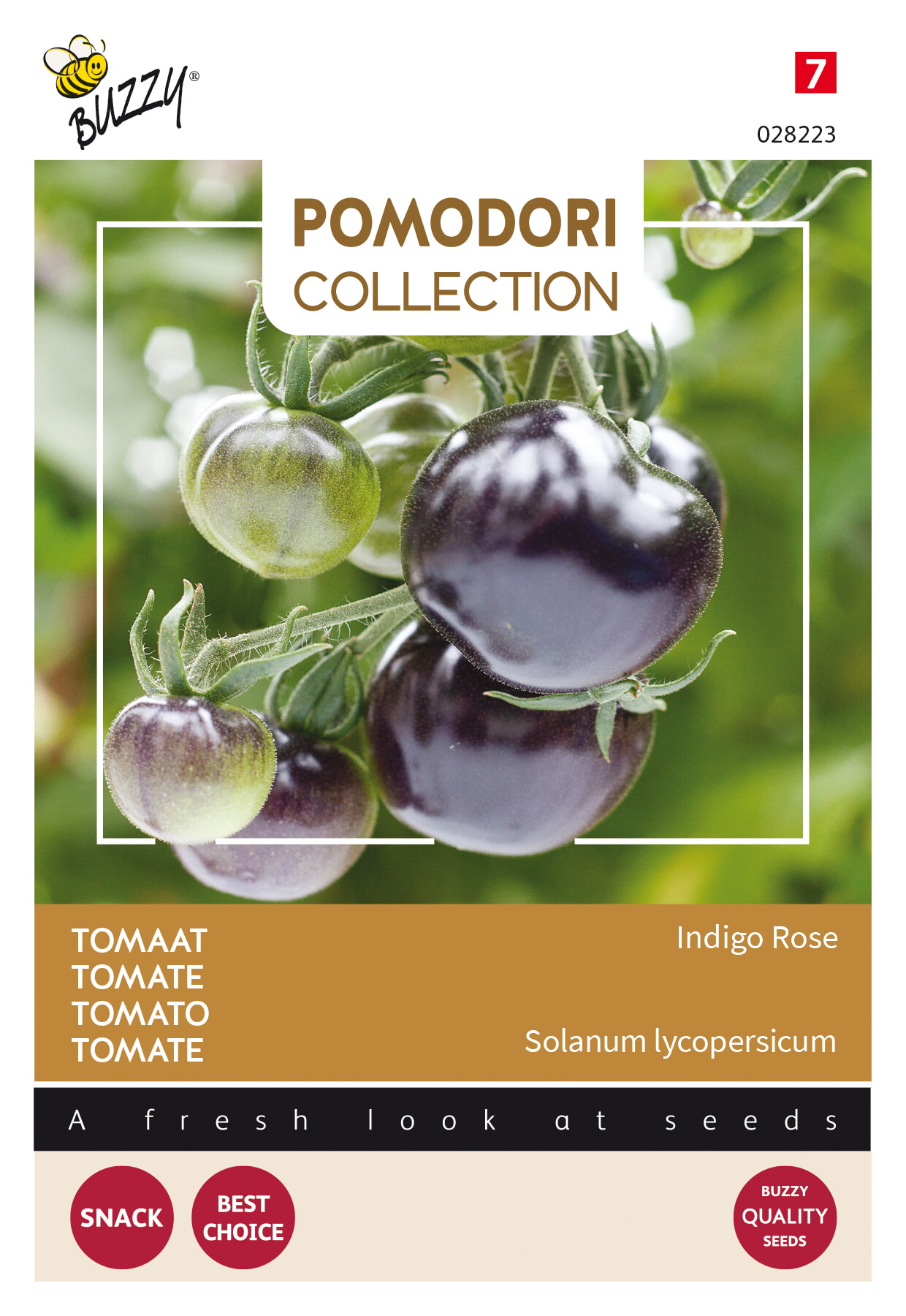 Buzzy Pomodori Indigo rose (zwart) - 