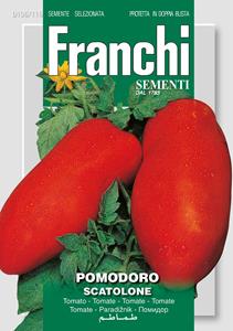 Franchi Tomaat, Pomodoro Scatolone 106/116 - 