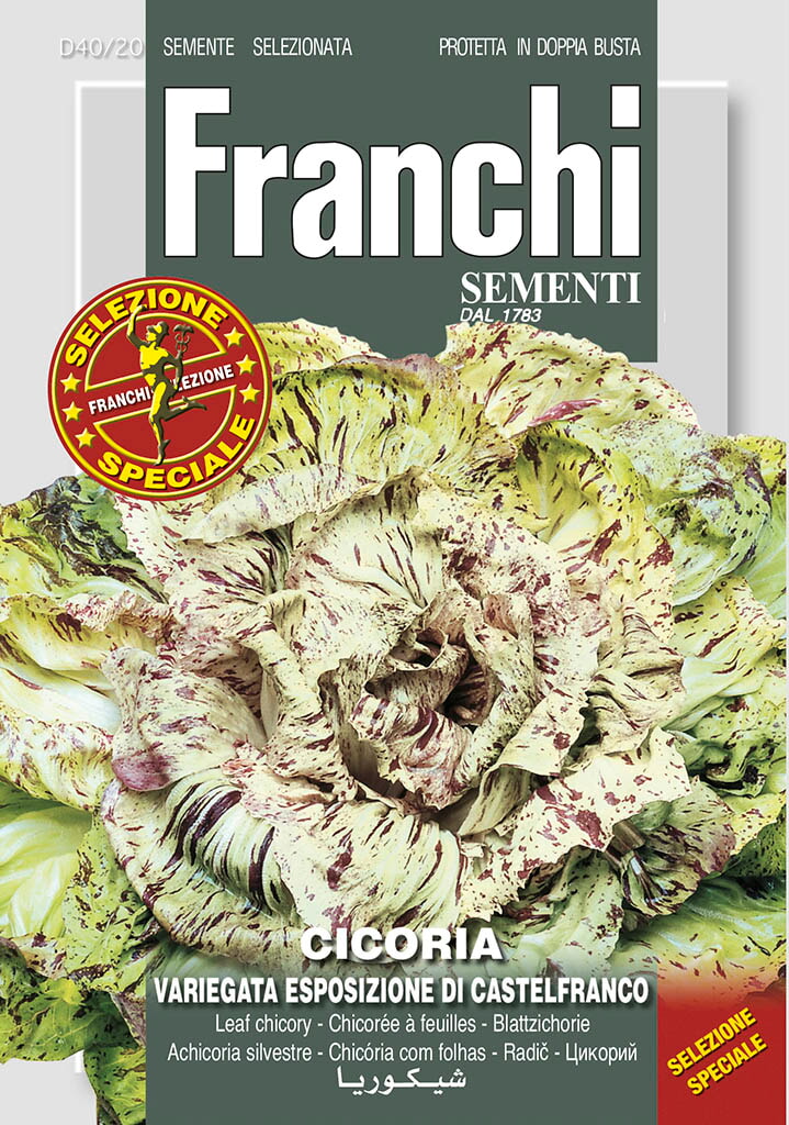Franchi Cichorei, Cicoria var esp Castelfranco 40/20 - 