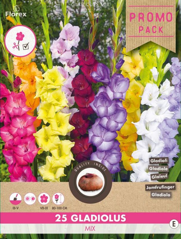 Florex Gladiool Grandiflora Grootbloemig - Bloembollen - Gemengd - 25 stuks