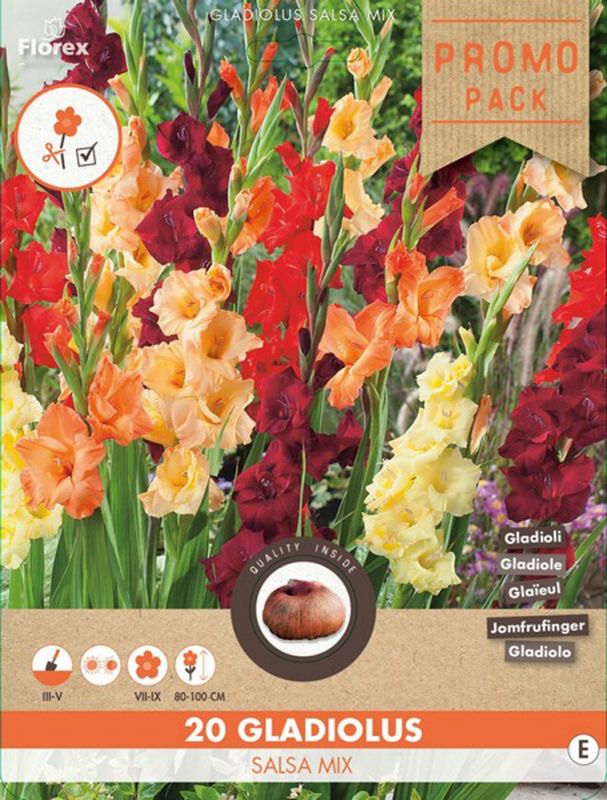 Florex Gladiool Grandiflora Salsa - Bloembollen - Gemengd - 20 stuks