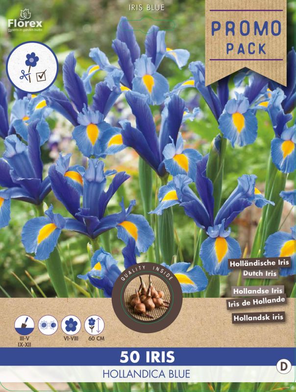 Florex Iris Hollandica - Bloembollen - Blauw - 50 stuks
