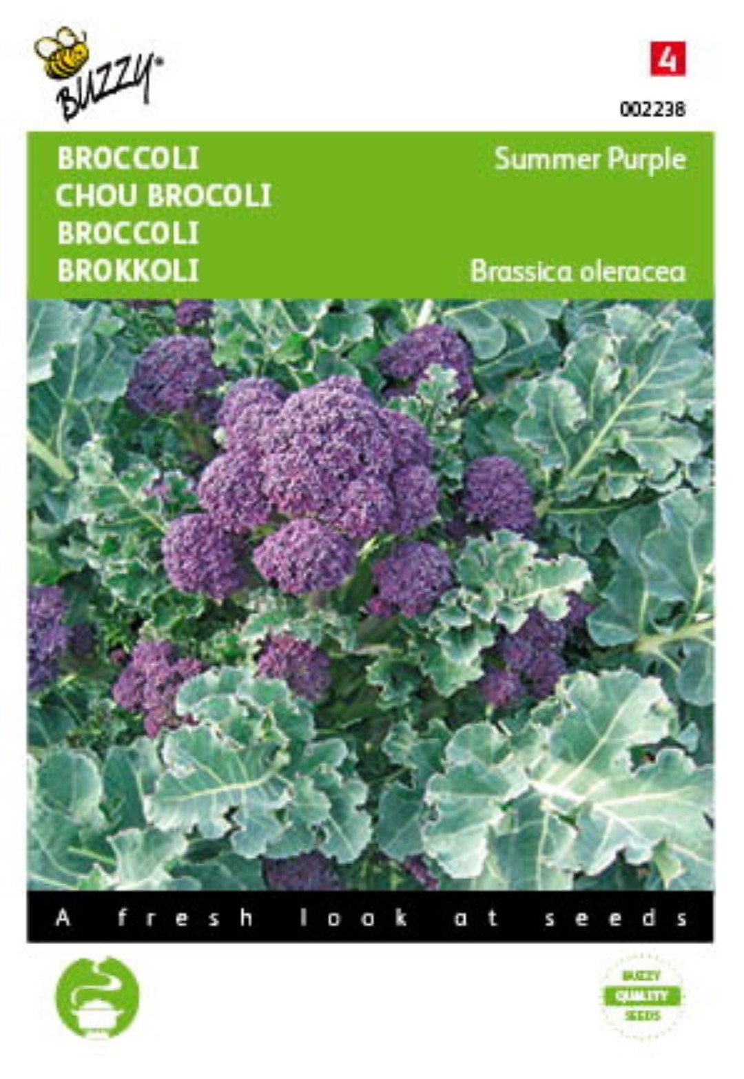 Buzzy Broccoli Summer Purple Tuinplus - 