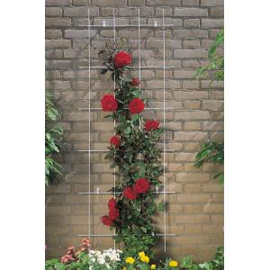 Nature Metalen klimrek rechthoekig grijs - 150 x 45 cm (3 verticalen)