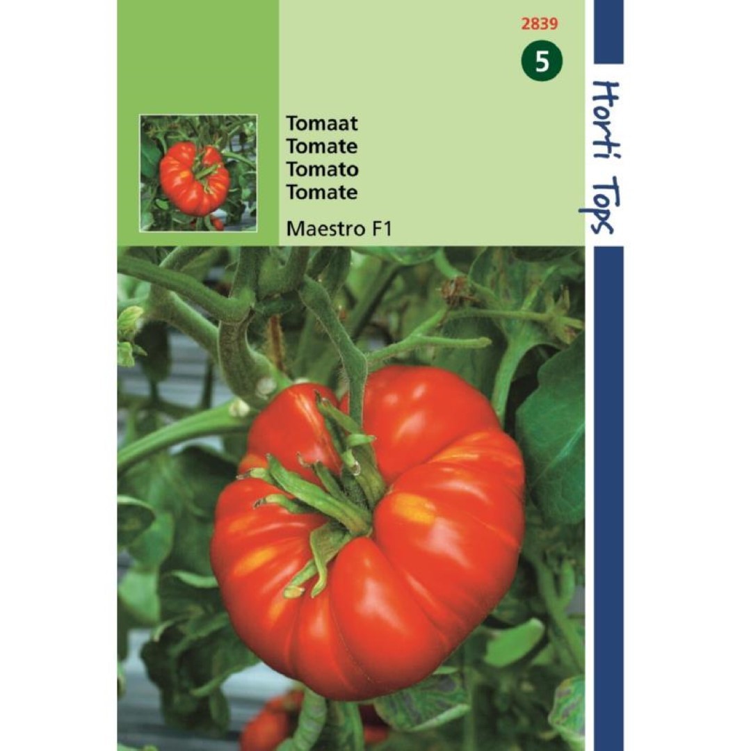 Hortitops Tomaten Beefmaster F1 - 