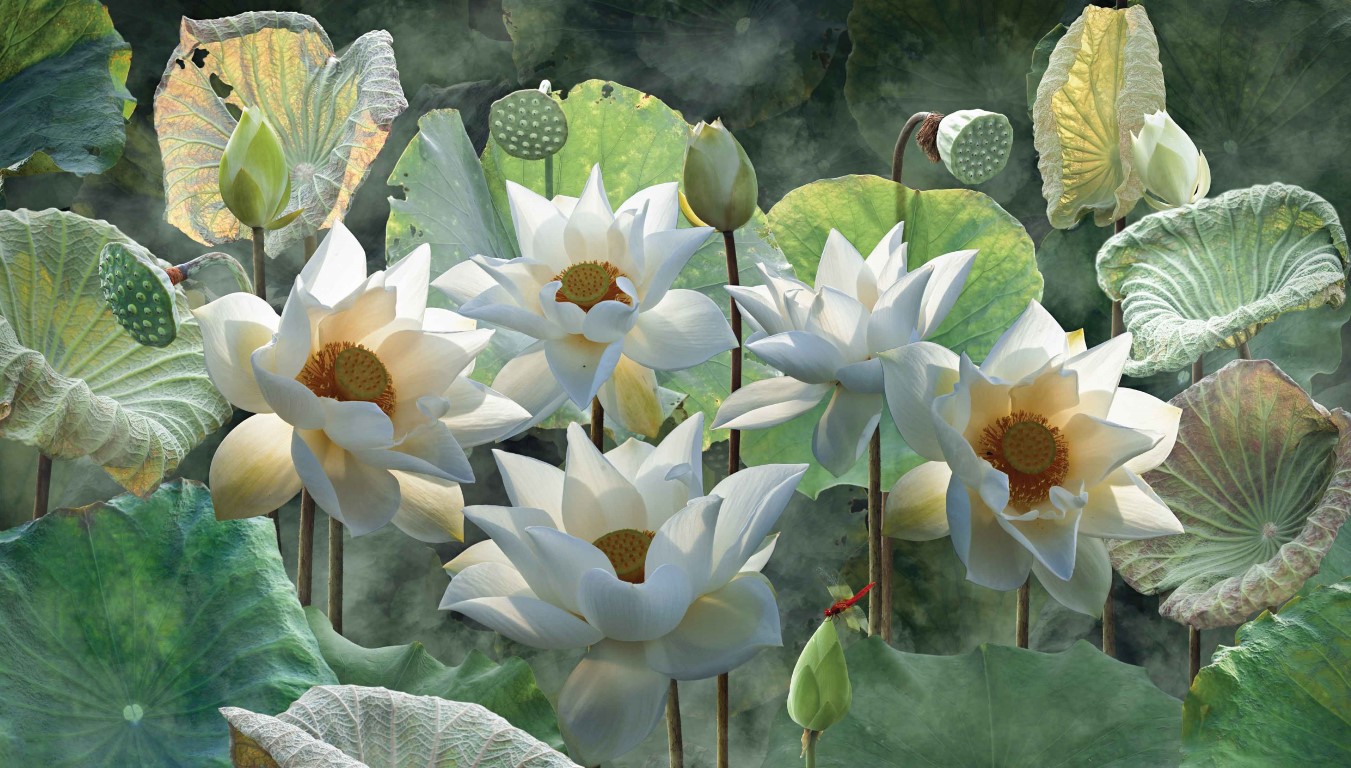 Customize-it Lotusbloemen 130x70cm Tuinschilderij - 