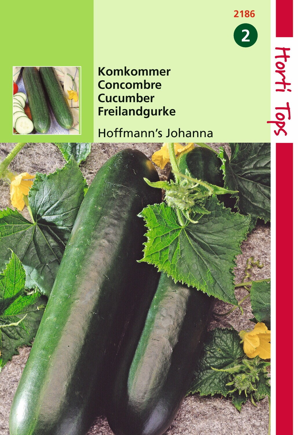 Hortitops Komkommers Hoffmanns Giganta - 