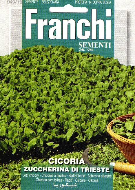 Franchi Cichorei, Cicoria Di Trieste 40/18 - 