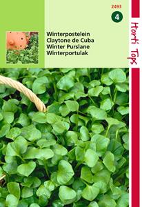 Hortitops Postelein Winter Claytonia Perfoliata - 