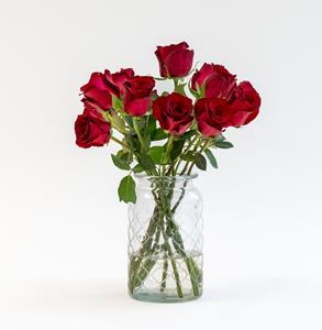 Everspring Letterbox roses bordeaux | 35cm length letterbox roses bordeaux | 35cm length