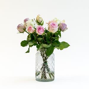 Everspring Letterbox roses sweet pink | 35cm length letterbox roses sweet pink | 35cm length