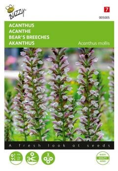 Buzzy Zaden acanthus 2 gram - 