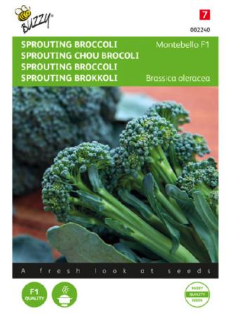 Buzzy Zaden sprouting broccoli montobello f1 20 zaden - 
