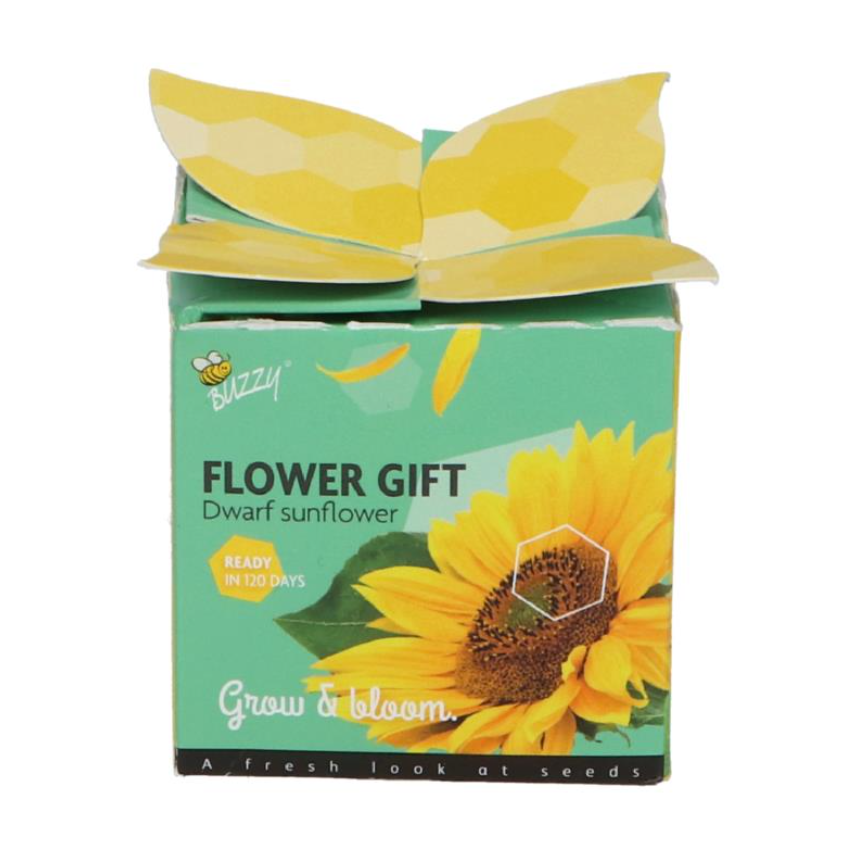 Buzzy Grow gifts kweekset flower gift zonnebloem - 