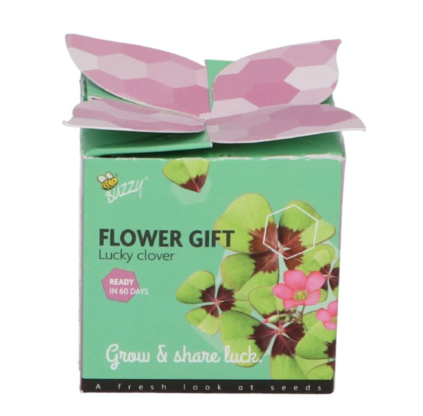 Buzzy Grow gifts kweekset flower gift klavertje 4 - 