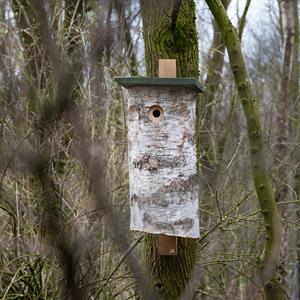 Vivara Nestkast Specht Malmö