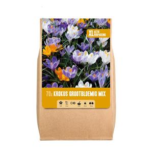 Florex Krokus Grootbloemig Mix XL - Bloembollen - Gemengd - 70 stuks