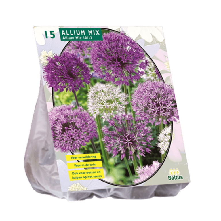 Baltus Allium mix Paars-Wit - 