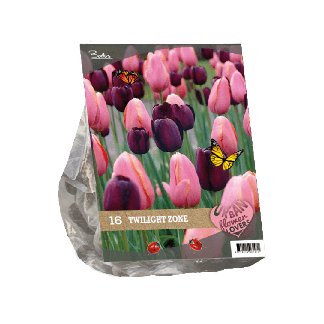 Baltus Urban Flowers Twilight zone per 16 - 