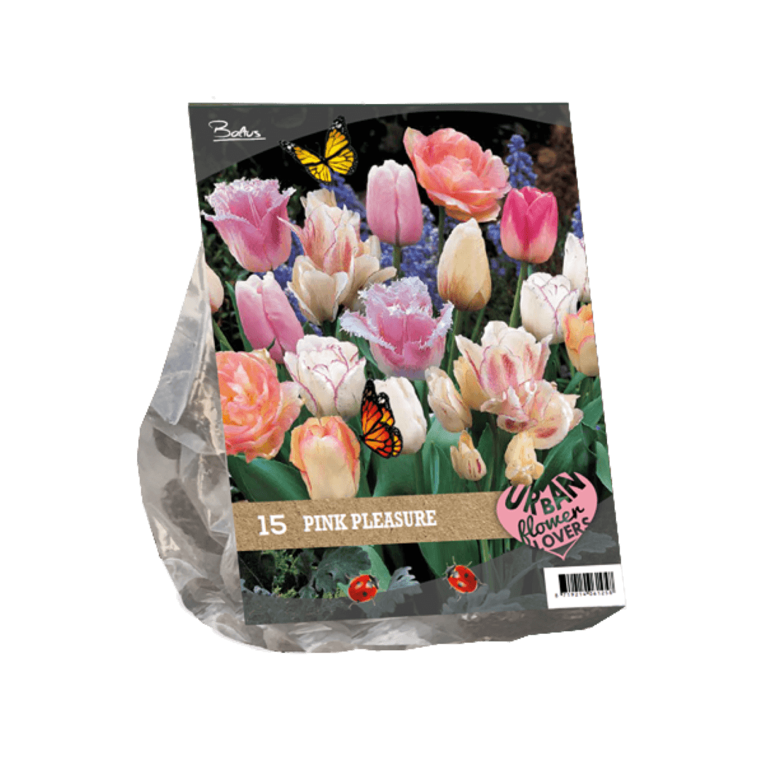 Baltus Urban Flowers Pink pleasure per 15 - 