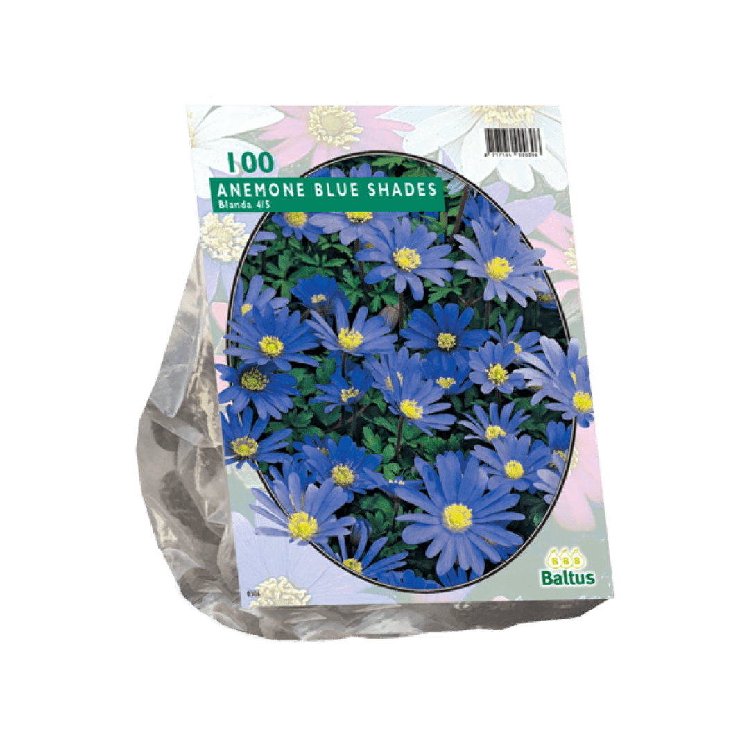 Baltus Anemone Blanda Blauw per 100 - 